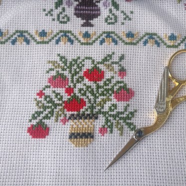 8-agosto tomates calientes-2