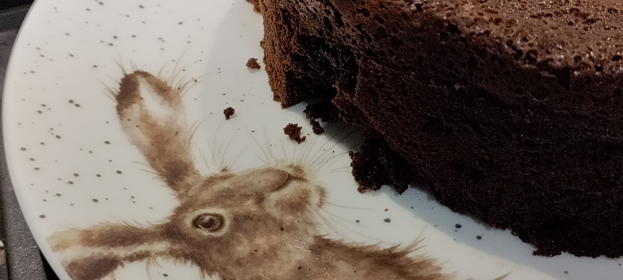 pastel-chocolate-mireia-carbo-4-1